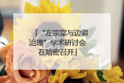 “左宗棠与边疆治理”学术研讨会在哈密召开